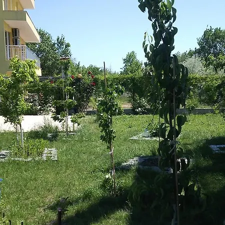 Apartament Vp Park *